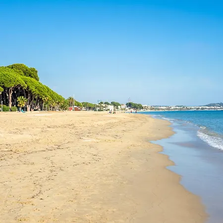 Appartement And Pool *